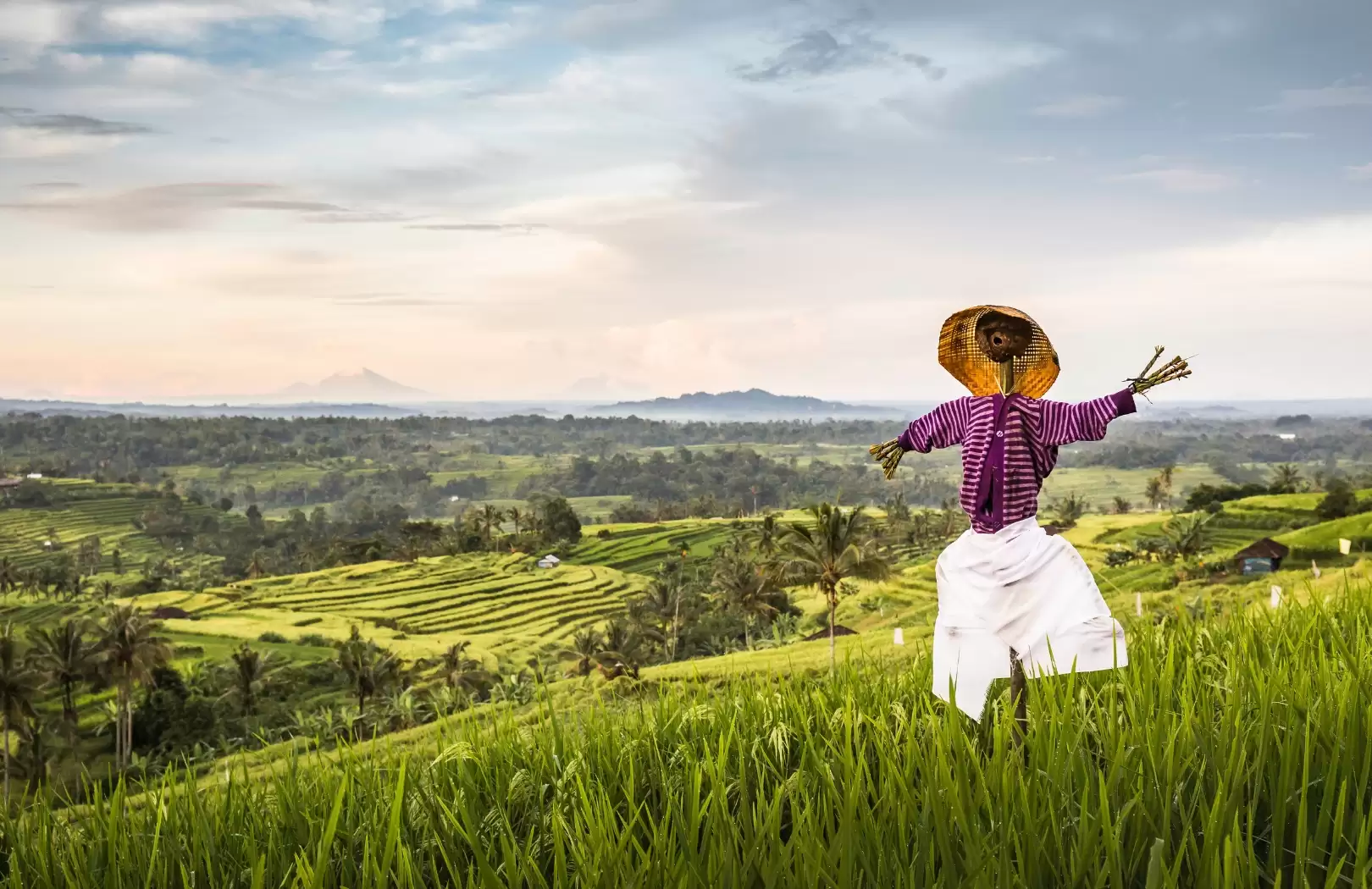 Jatiluwih Rice Terraces