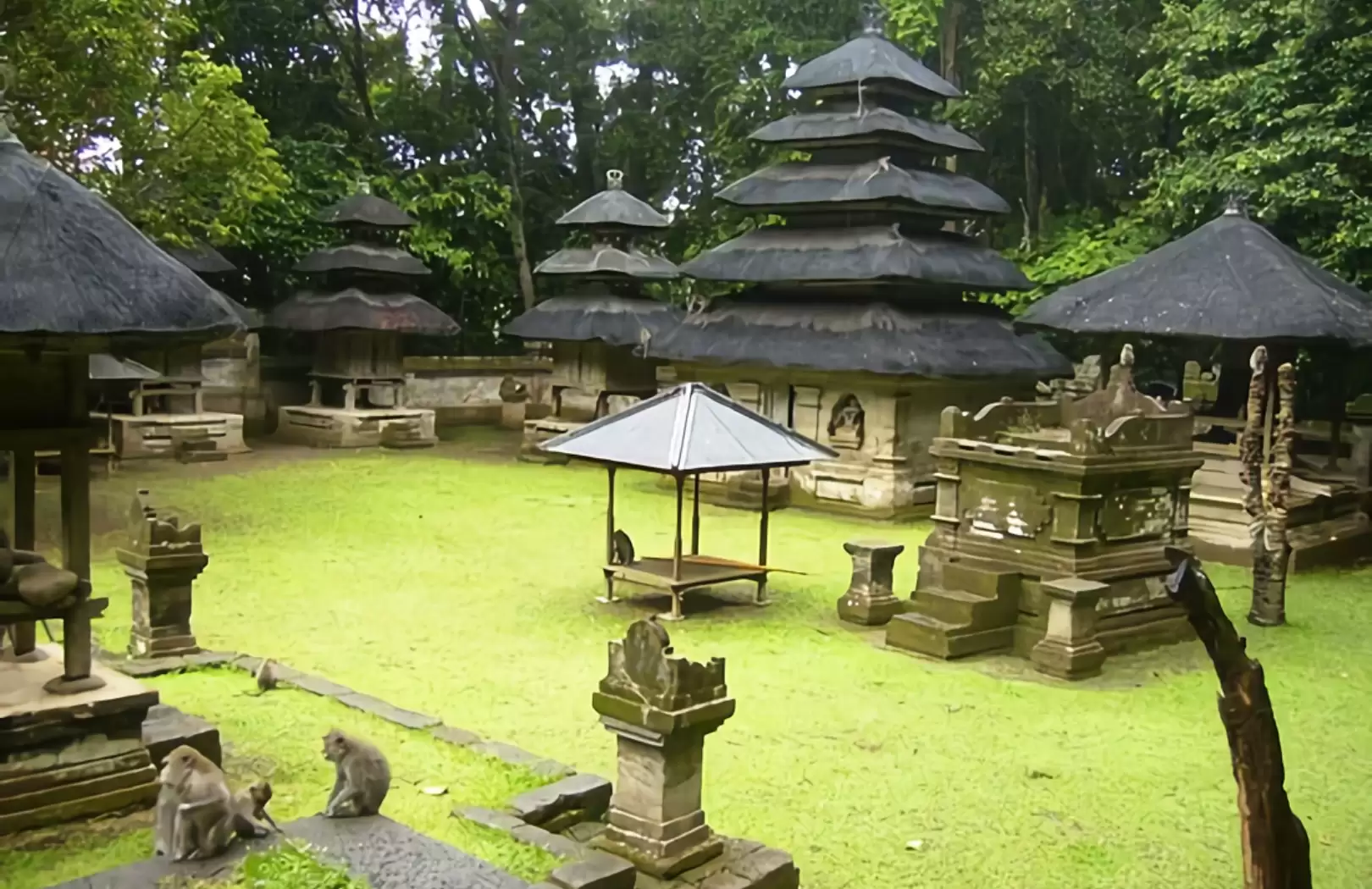 Alas Kedaton Monkey Forest