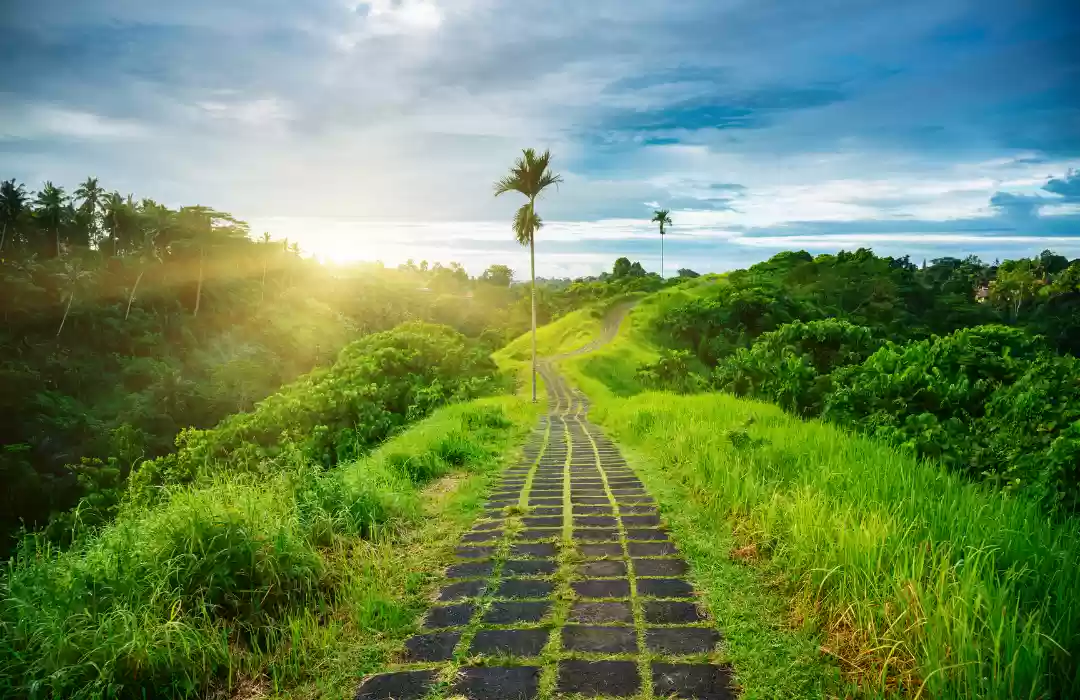 The Stunning Ridge Walk of Ubud – A Trek Through Bali’s Heartland