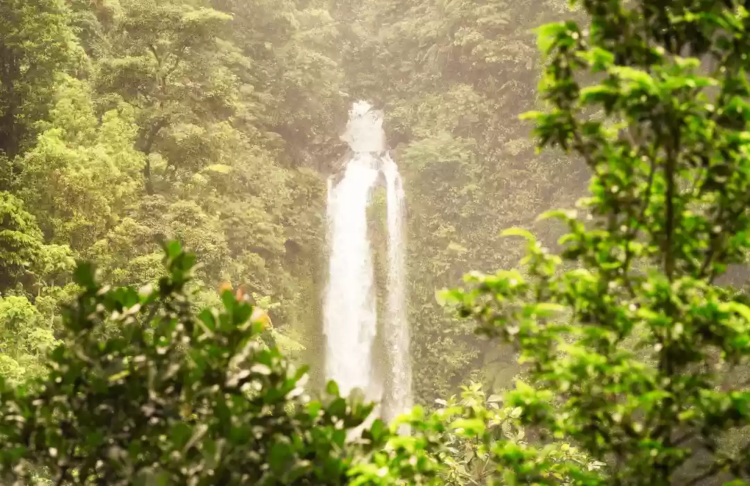 Gitgit Waterfall (North Bali)