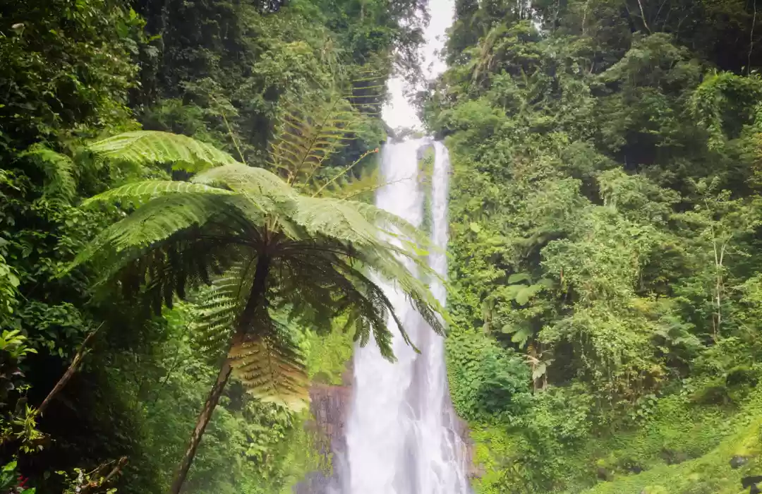 Hiking to Bali’s Hidden Waterfalls