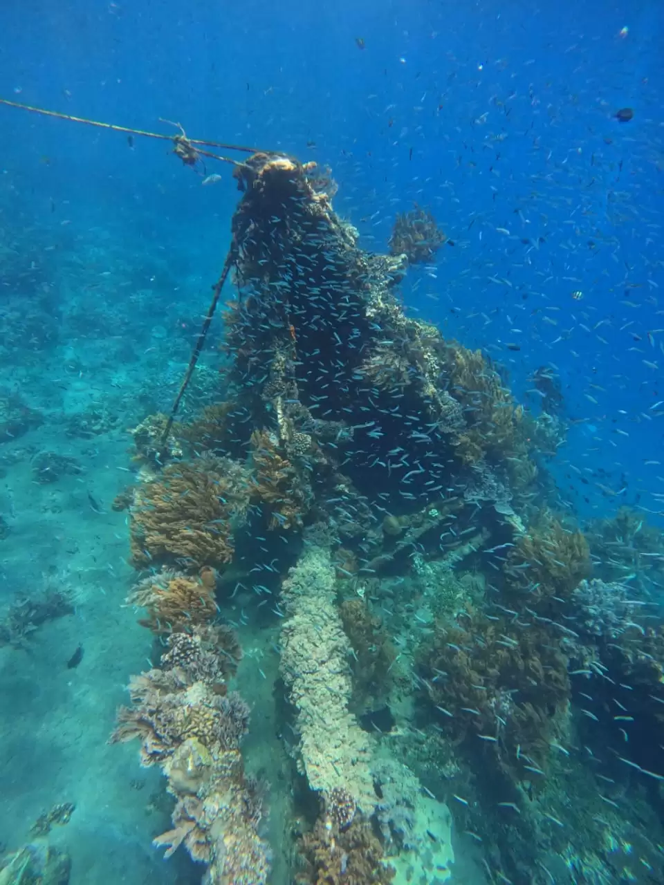 Japanese Shipwreck