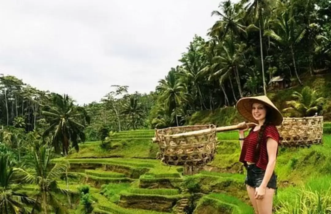 Sukawati Rice Terraces – The Hidden Gem of Gianyar