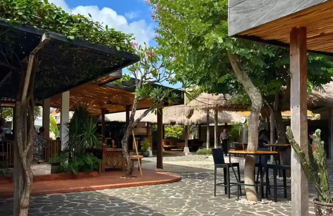 The Cashew Tree – Relax and Recharge with Coffee and Healthy Eats