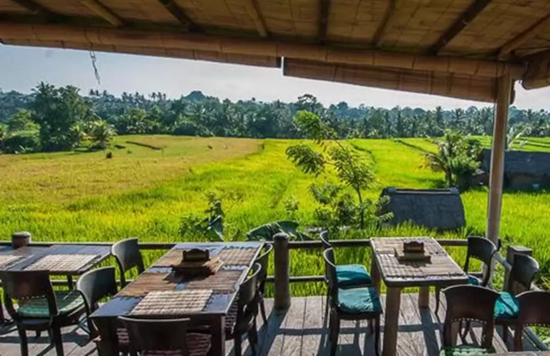 Sari Organik – A Tranquil Escape in the Rice Fields of Ubud