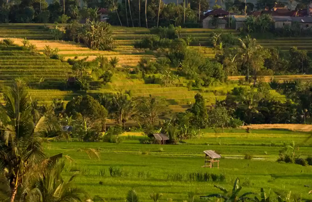 Sidemen – A Peaceful Village for a True Spiritual Escape