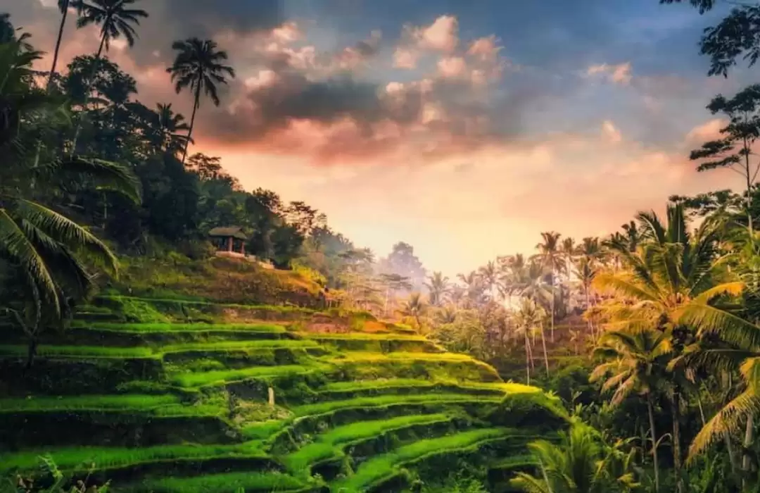 Tegallalang Gorge – Bali’s Hidden Gem for Nature Lovers and Adventurers