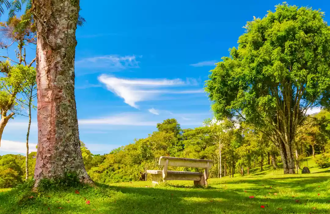 Bali Botanic Garden (Bedugul)