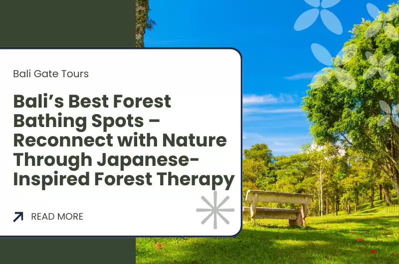Bali’s Best Forest Bathing Spots – Reconnect with Nature Through Japanese-Inspired Forest Therapy