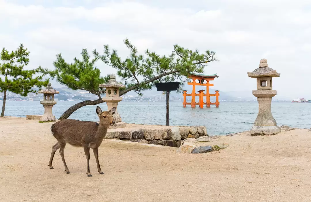 Menjangan Island – Bali’s Best Kept Secret for Nature Lovers