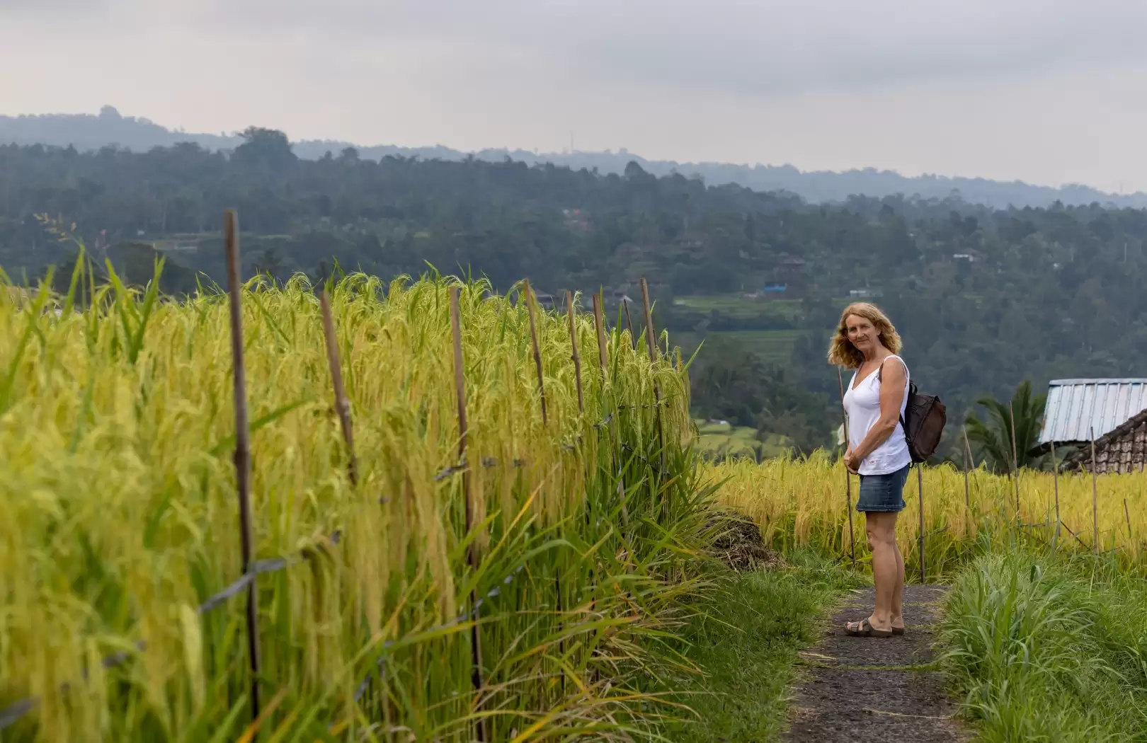 Bedugul Day Trip