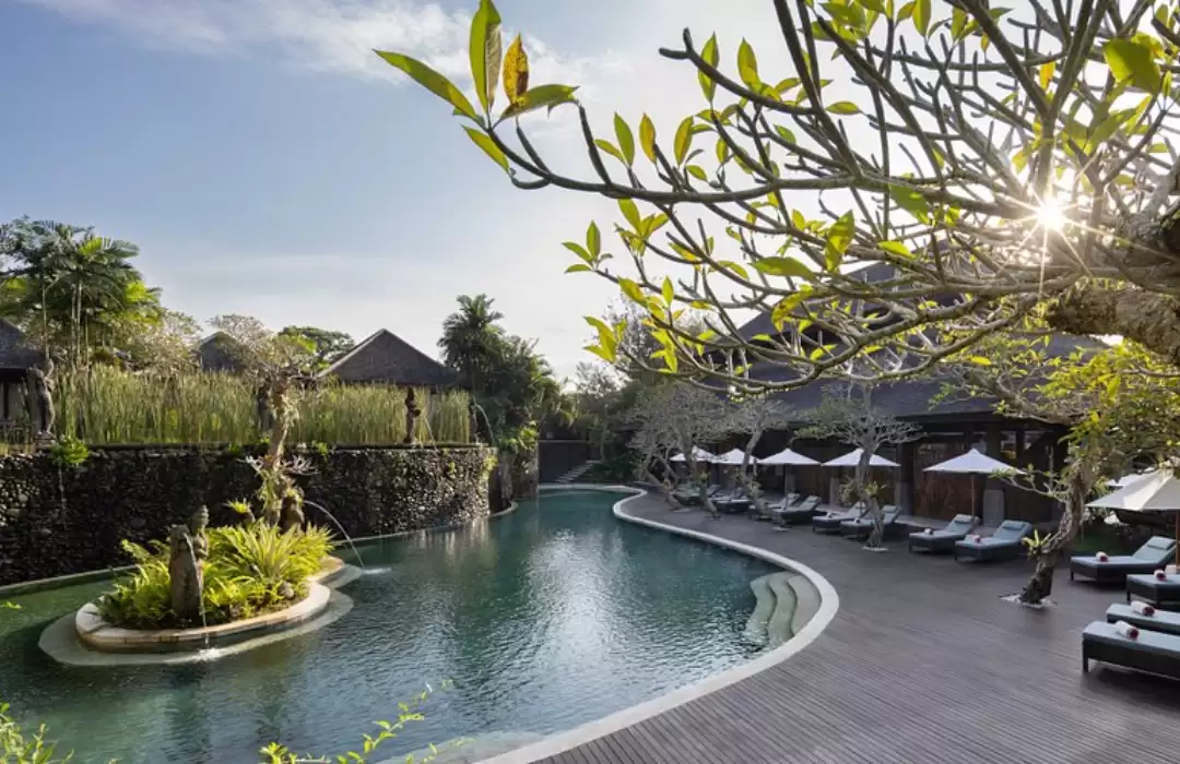 Desa Visesa (Ubud): Sustainable Luxury and Rice Field Views
