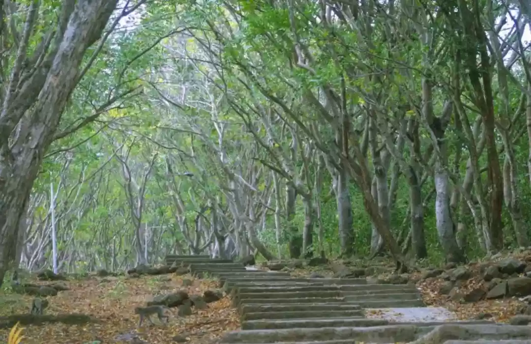 Trekking and Hiking in Bali’s Natural Parks