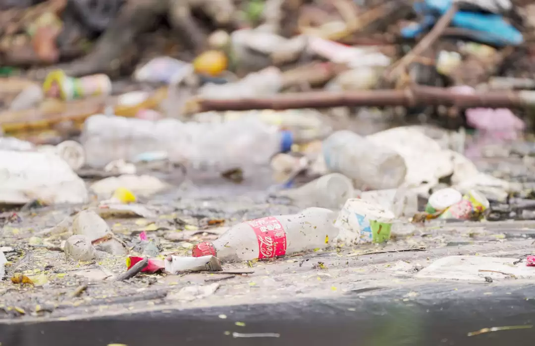 Bali’s Plastic-Free Movement