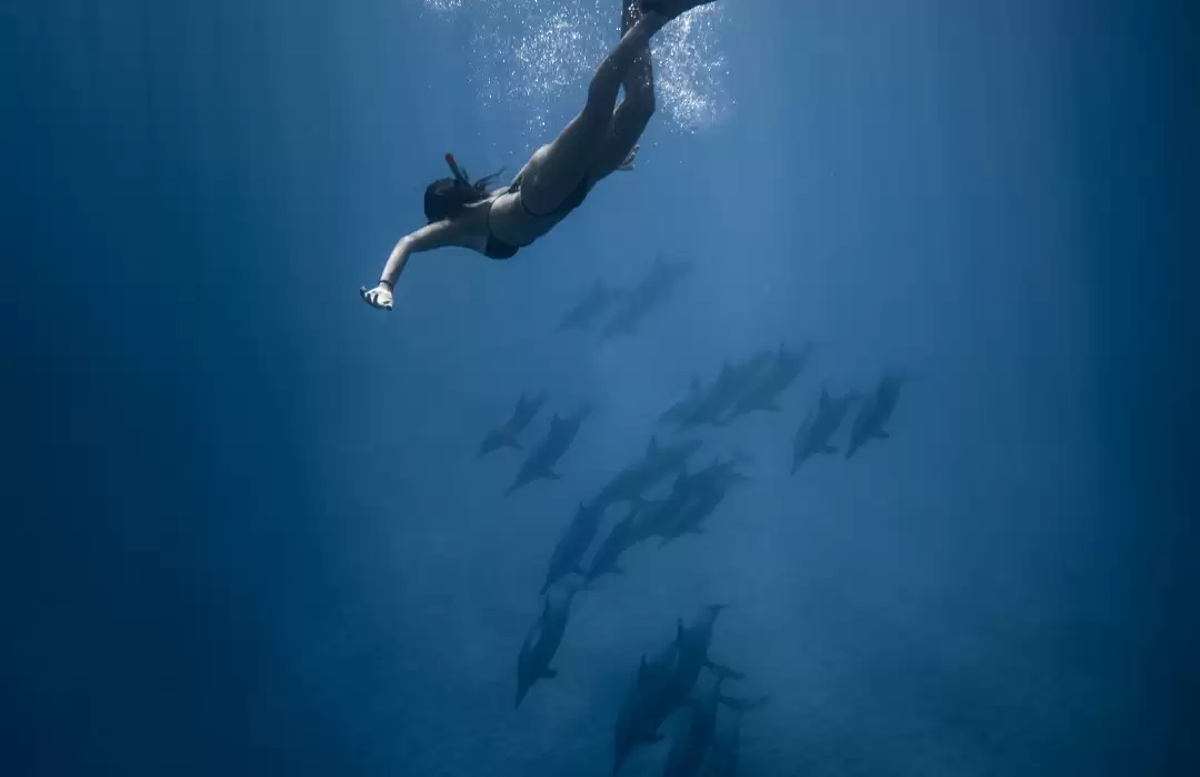 Snorkeling and Scuba Diving in Bali’s Coral Reefs