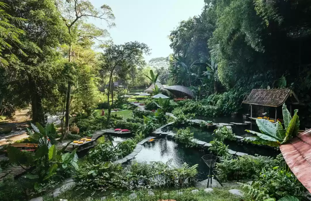 Bambu Indah – A Sustainable Bamboo Retreat