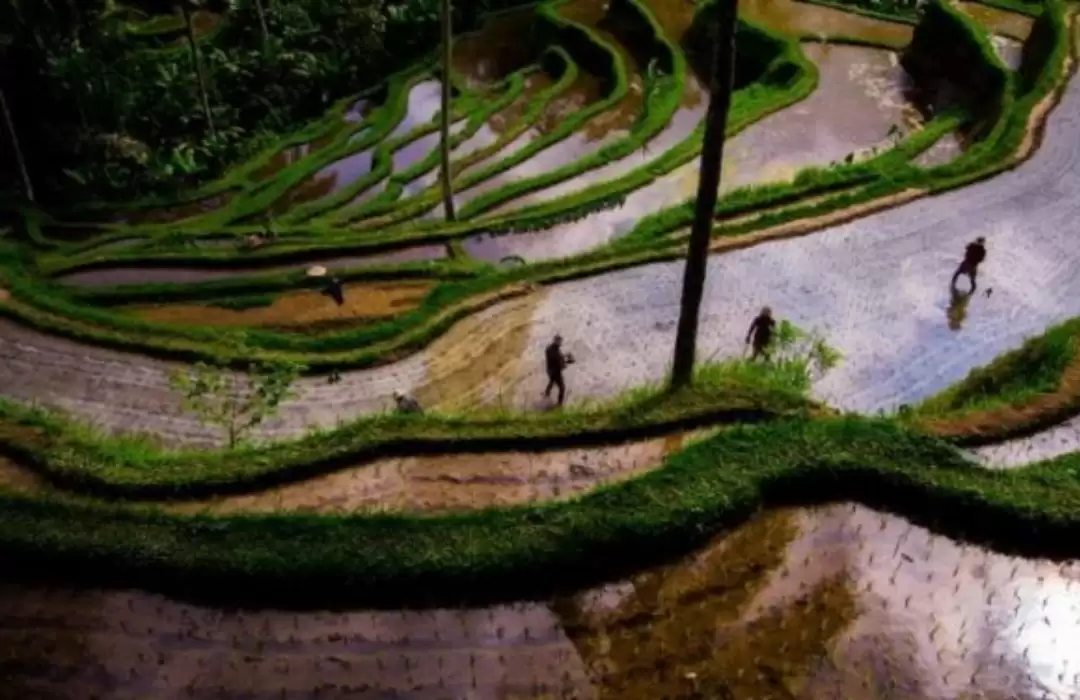 Ubud’s Villages – The Cultural Heart of Bali
