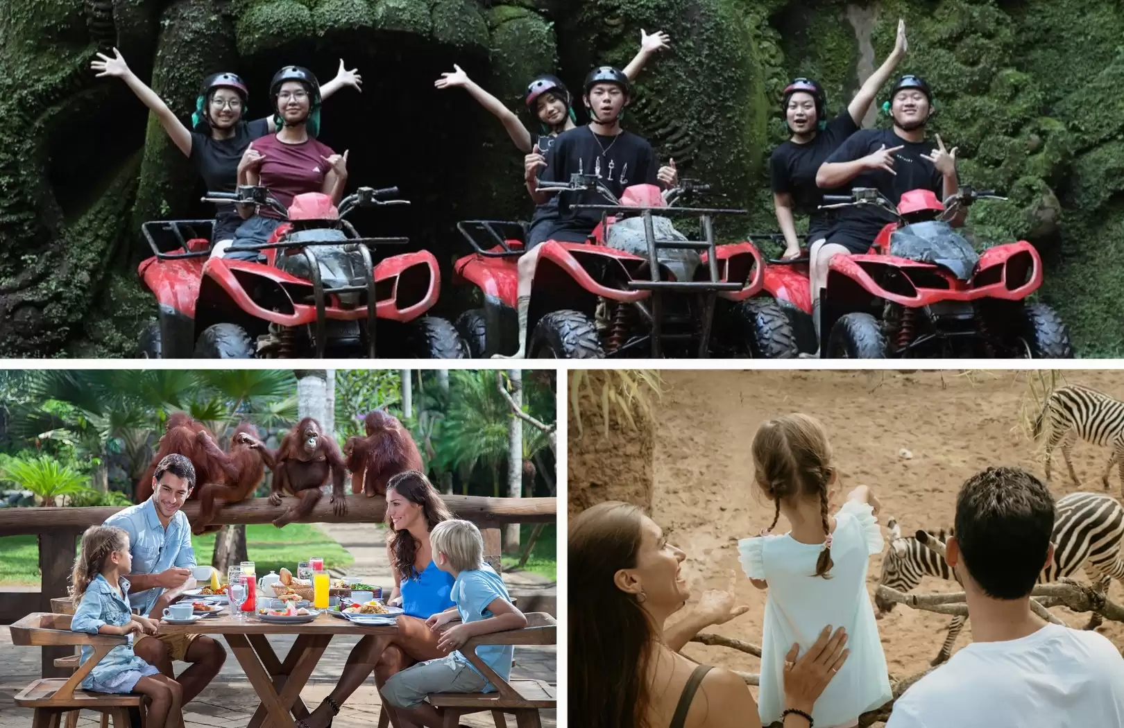 Quad Bike + Breakfast Orang Utan + Visit Zoo