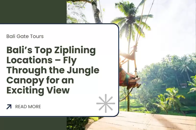 Bali’s Top Ziplining Locations – Fly Through the Jungle Canopy for an Exciting View