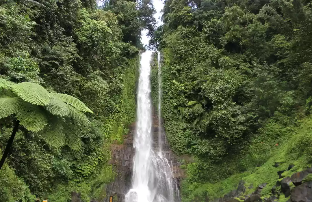 Canyoning in Gitgit Waterfall – An Epic Adventure in Bali’s North