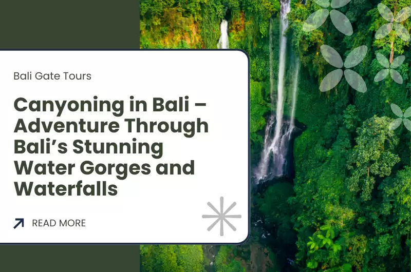 Canyoning in Bali – Adventure Through Bali’s Stunning Water Gorges and Waterfalls