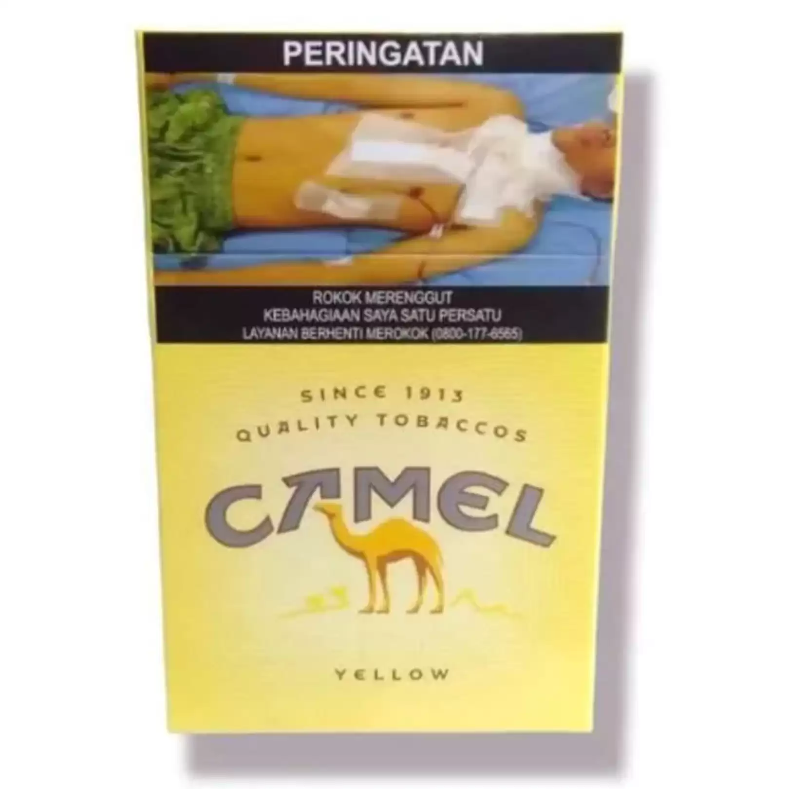 39232265##Camel Yellow 20S