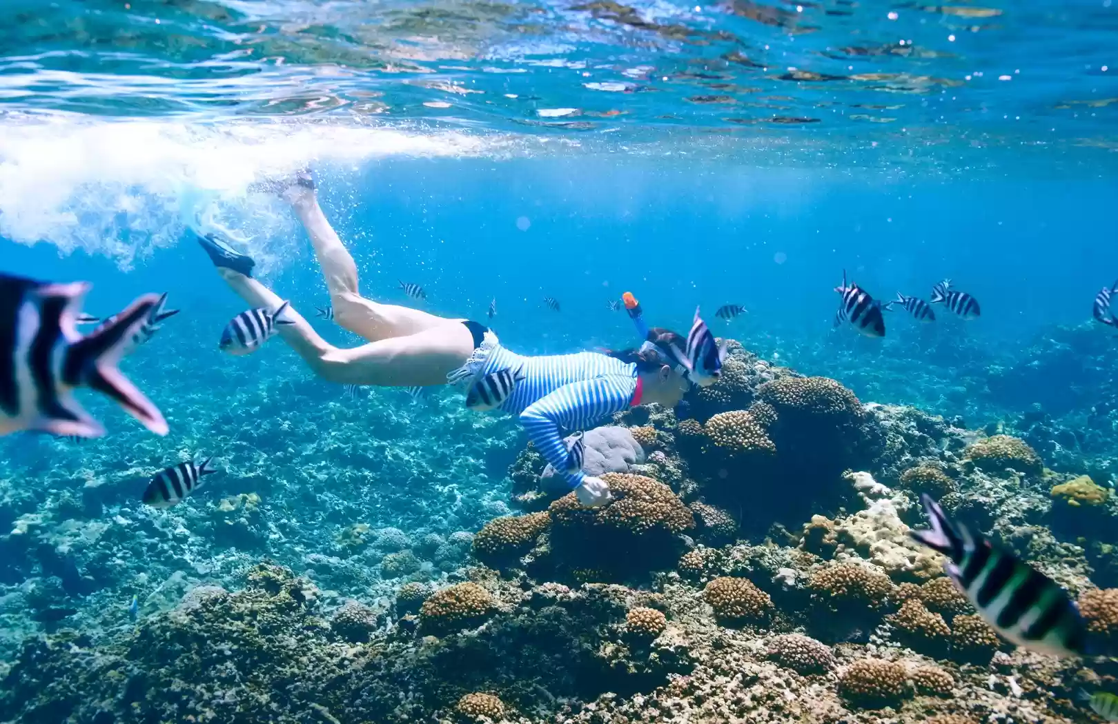 1 Day 1 Night & Snorkeling