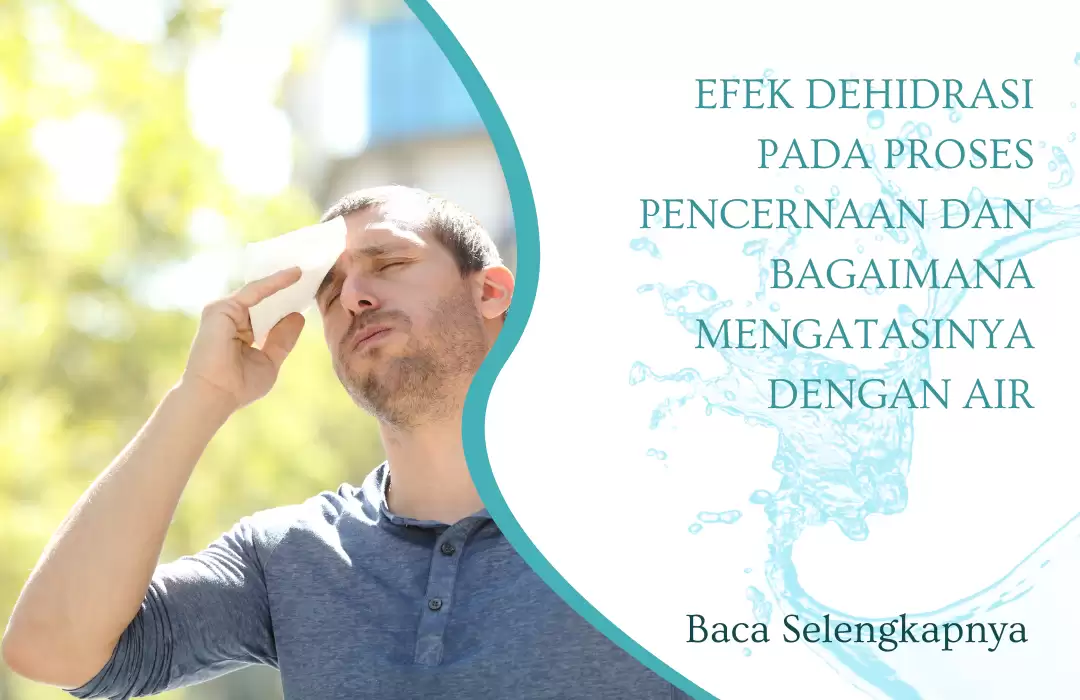 Efek Dehidrasi pada Proses Pencernaan dan Bagaimana Mengatasinya dengan Air