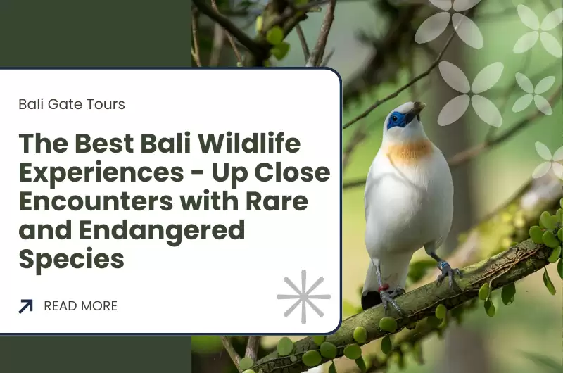 The Best Bali Wildlife Experiences - Up Close Encounters with Rare and Endangered Species