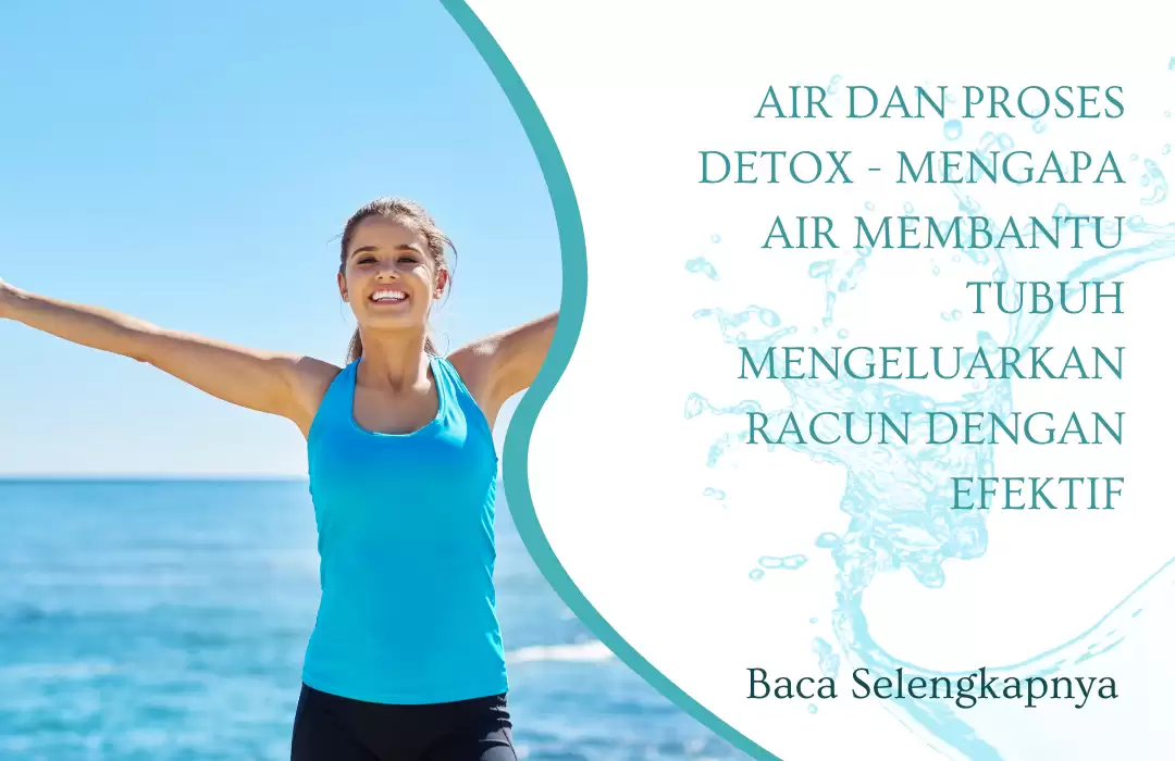 Air dan Proses Detox - Mengapa Air Membantu Tubuh Mengeluarkan Racun dengan Efektif