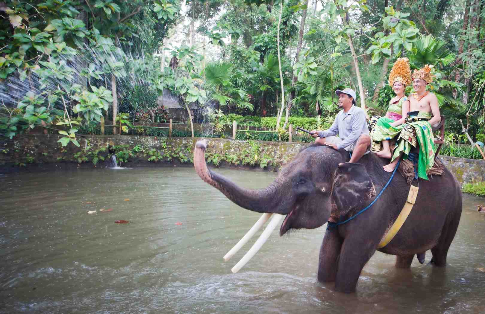 Bali ATV - Elephant Ride