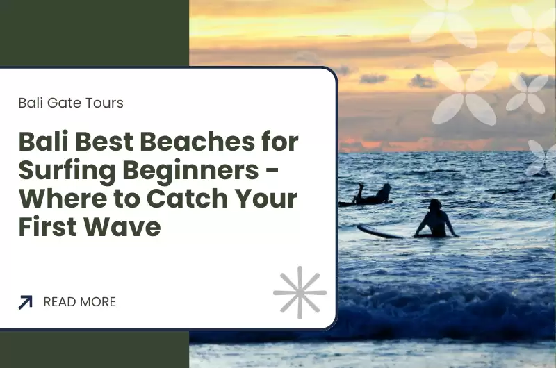 Bali Best Beaches for Surfing Beginners - Where to Catch Your First Wave