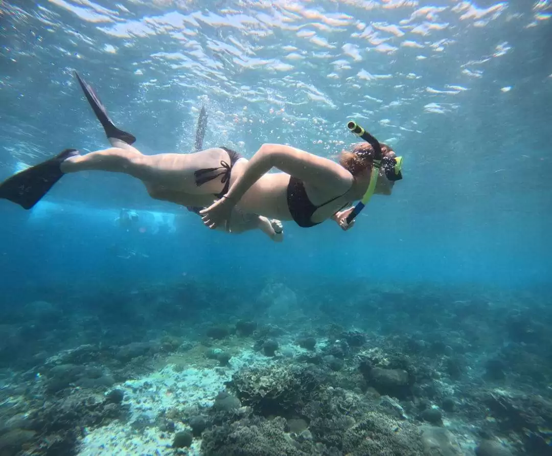 Manta Point ➞ Gamat Bay ➞ SD Point5