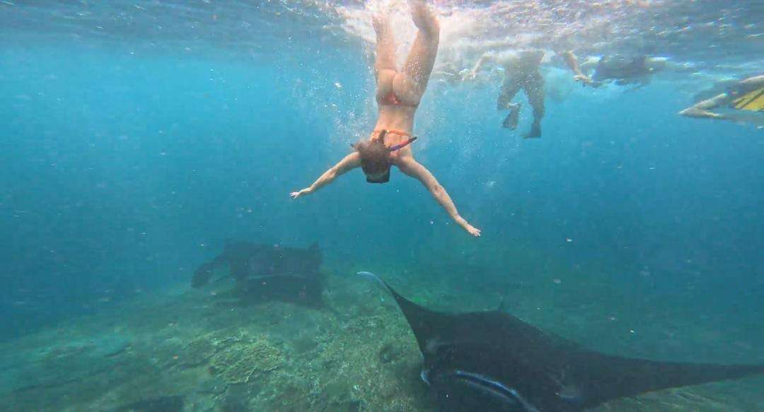 Manta Bay ➞ Gamat Bay ➞ SD Point4