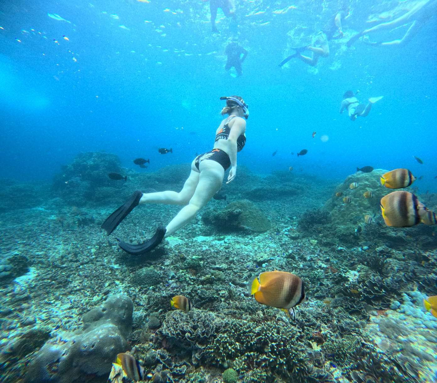 Manta Bay ➞ Gamat Bay ➞ SD Point3