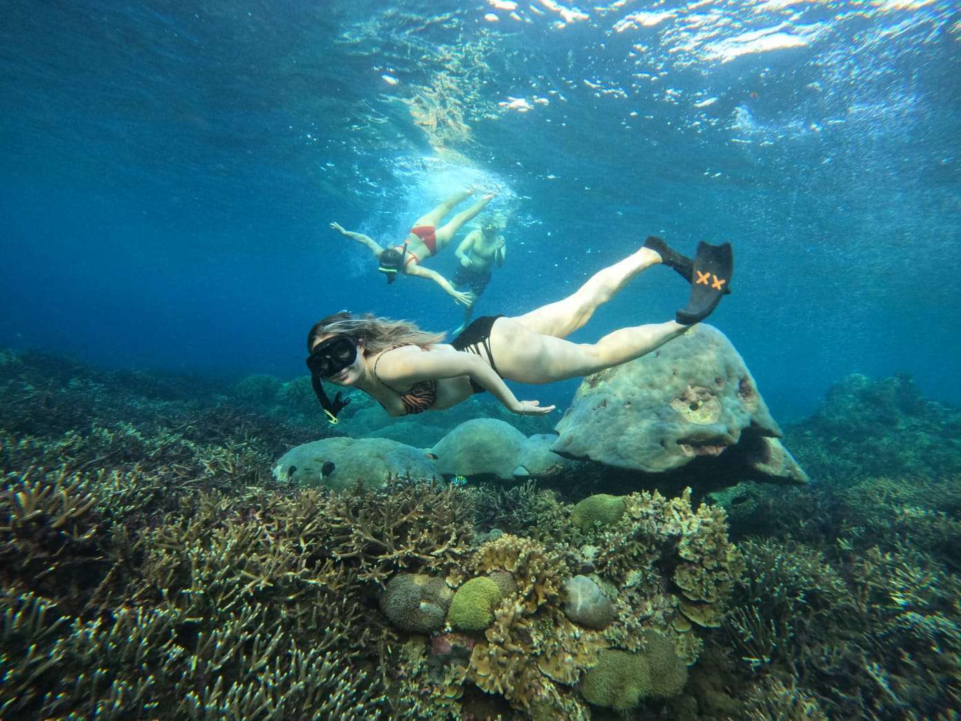 Crystal Bay ➞ Gamat Bay ➞ SD Point1