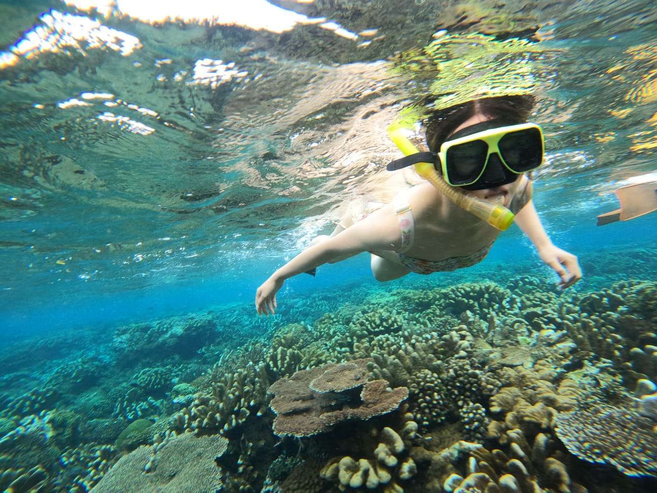 Crystal Bay ➞ Gamat Bay ➞ SD Point4