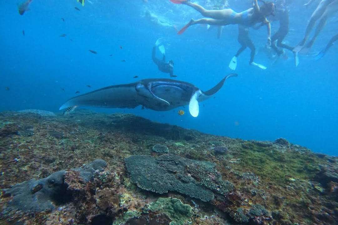 Manta Point Public Tour6