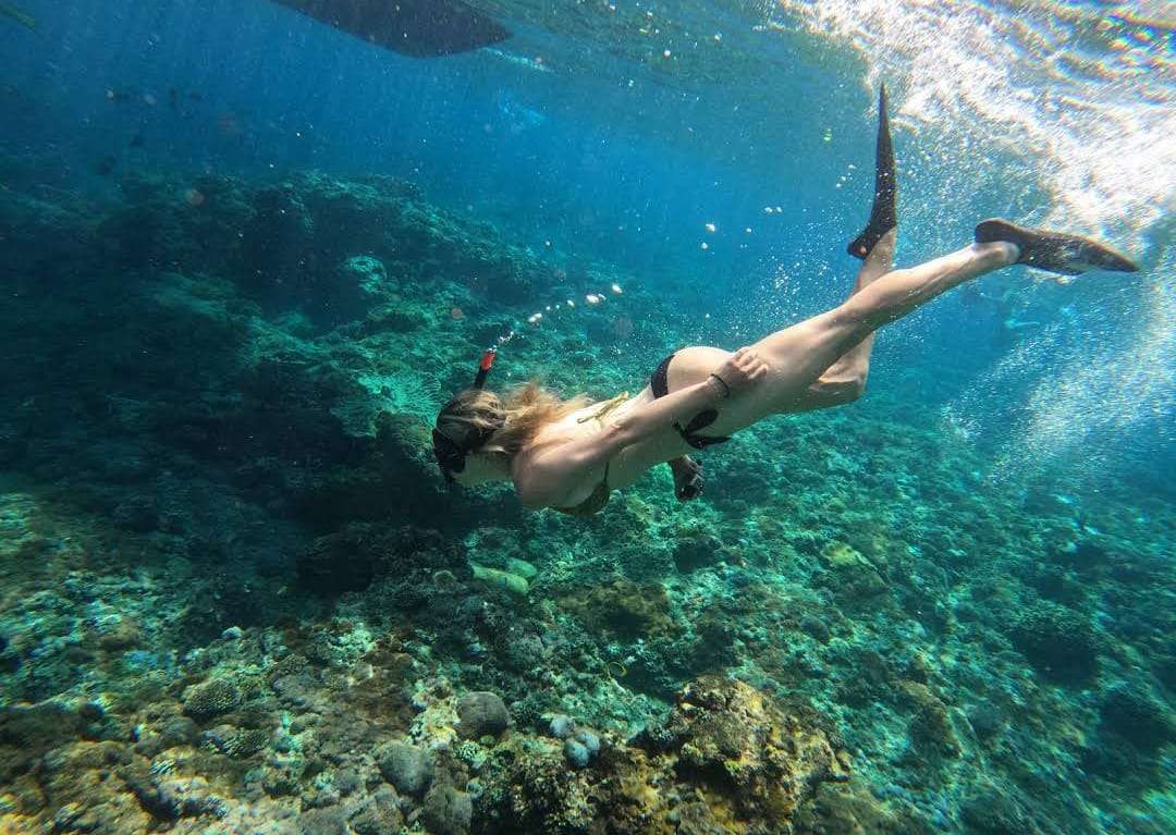 Manta Point Public Tour8