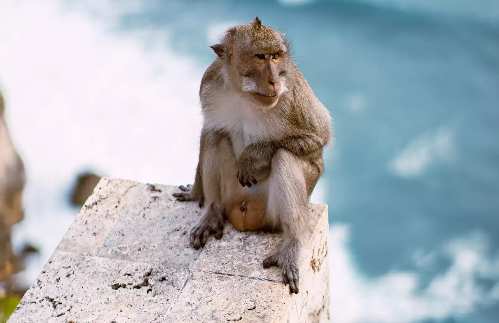 Conservation & Wildlife