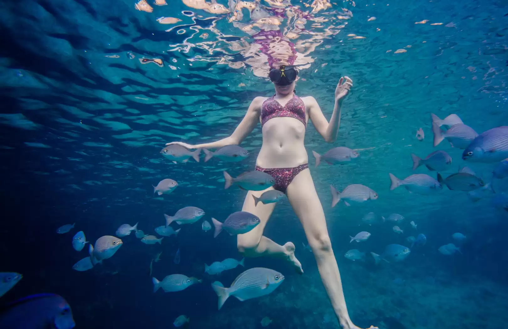 Snorkeling with Waterfall