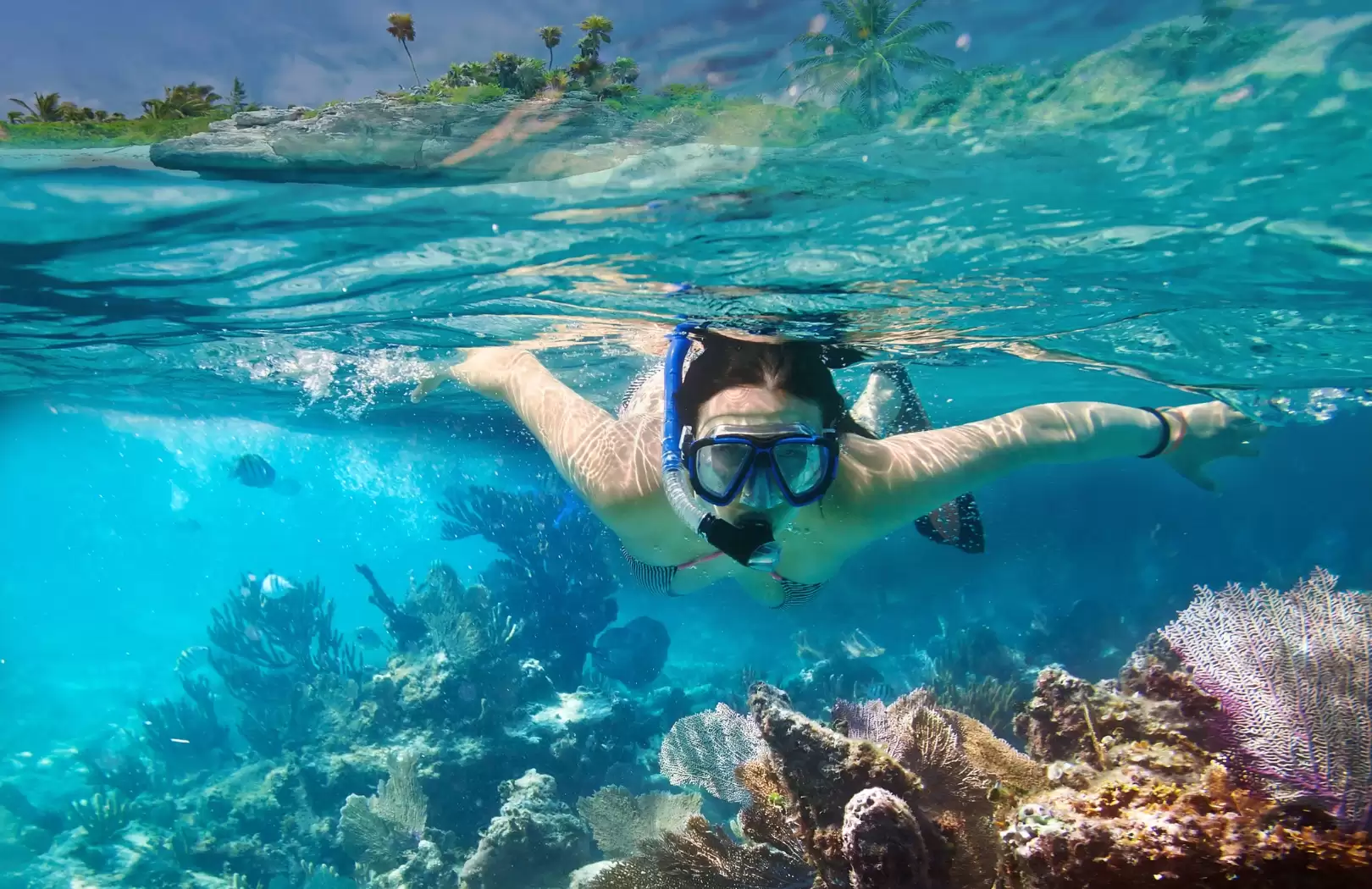 Snorkeling without Waterfall