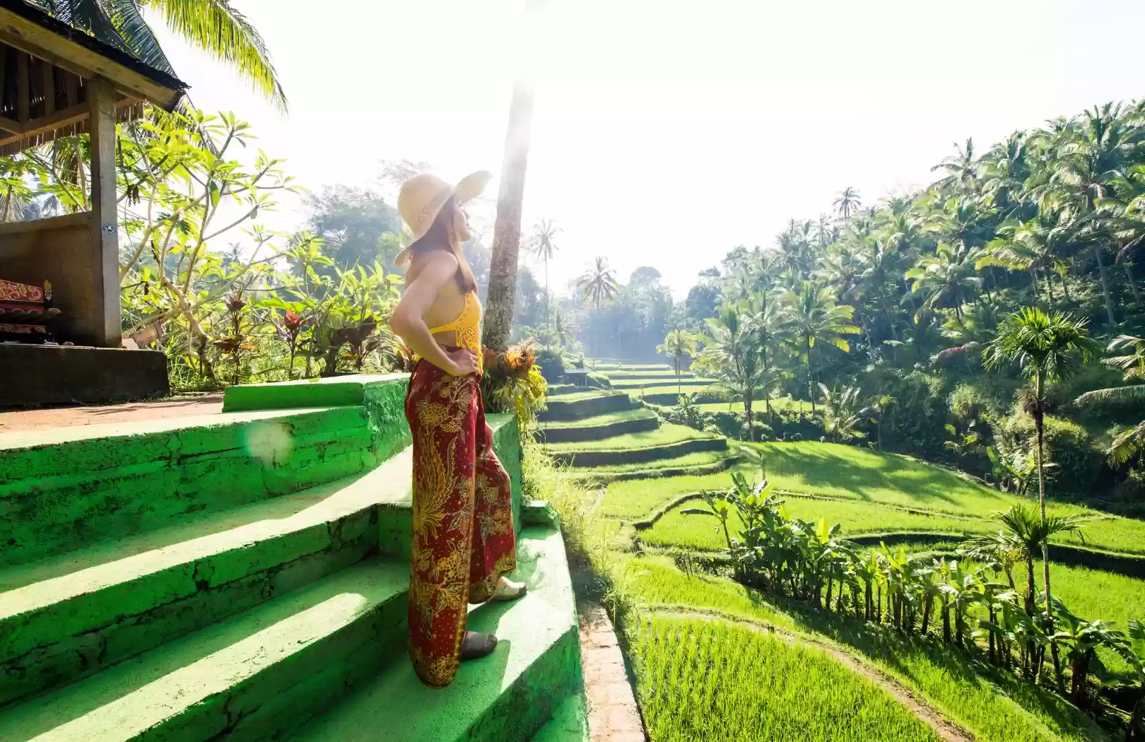 Bali: Waterfall Tour and Kemenuh Monkey River - All Inclusive Private Day Trip