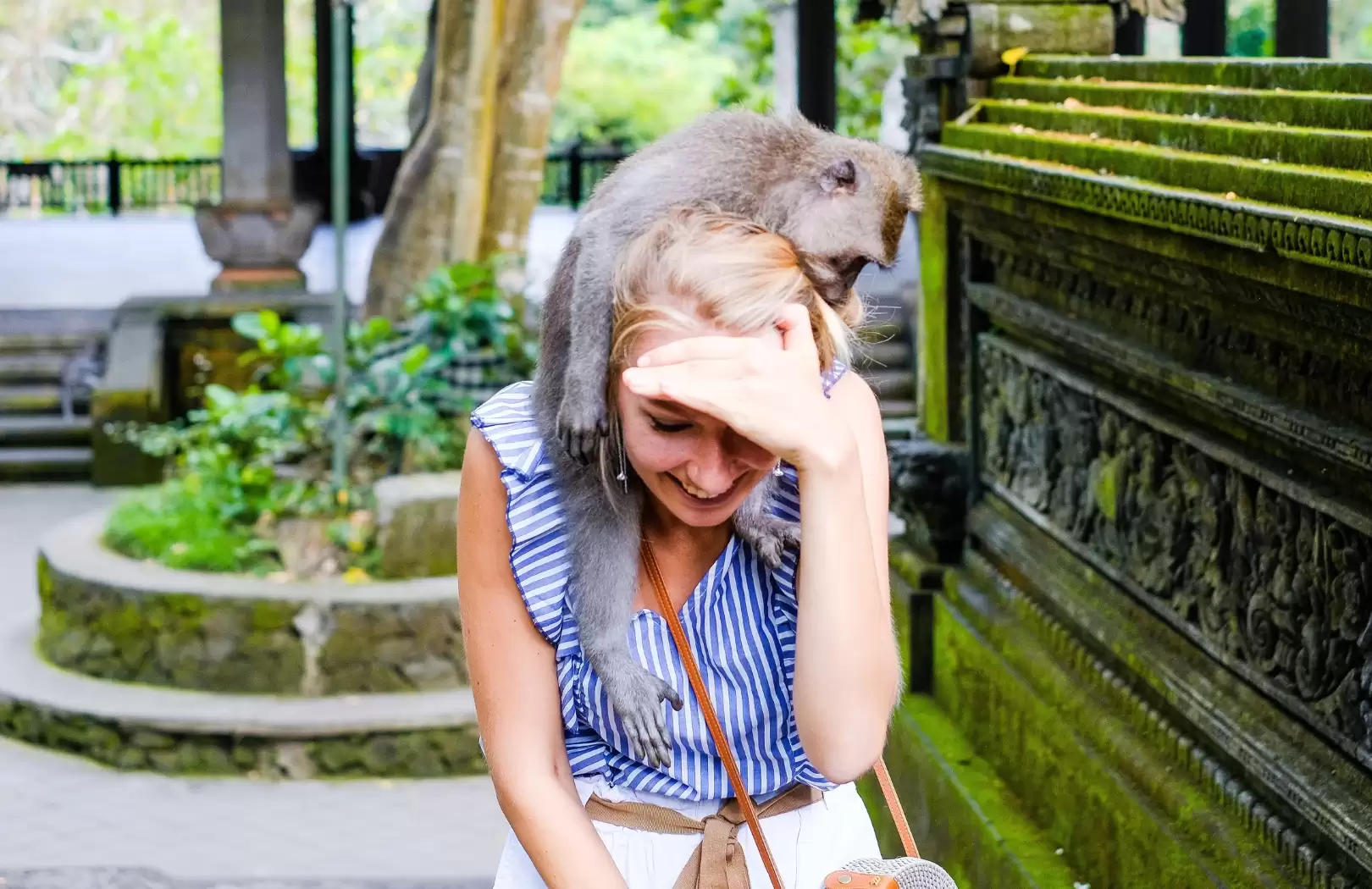 Bali White Water Rafting & Ubud Monkey Forest Sanctuary Tour