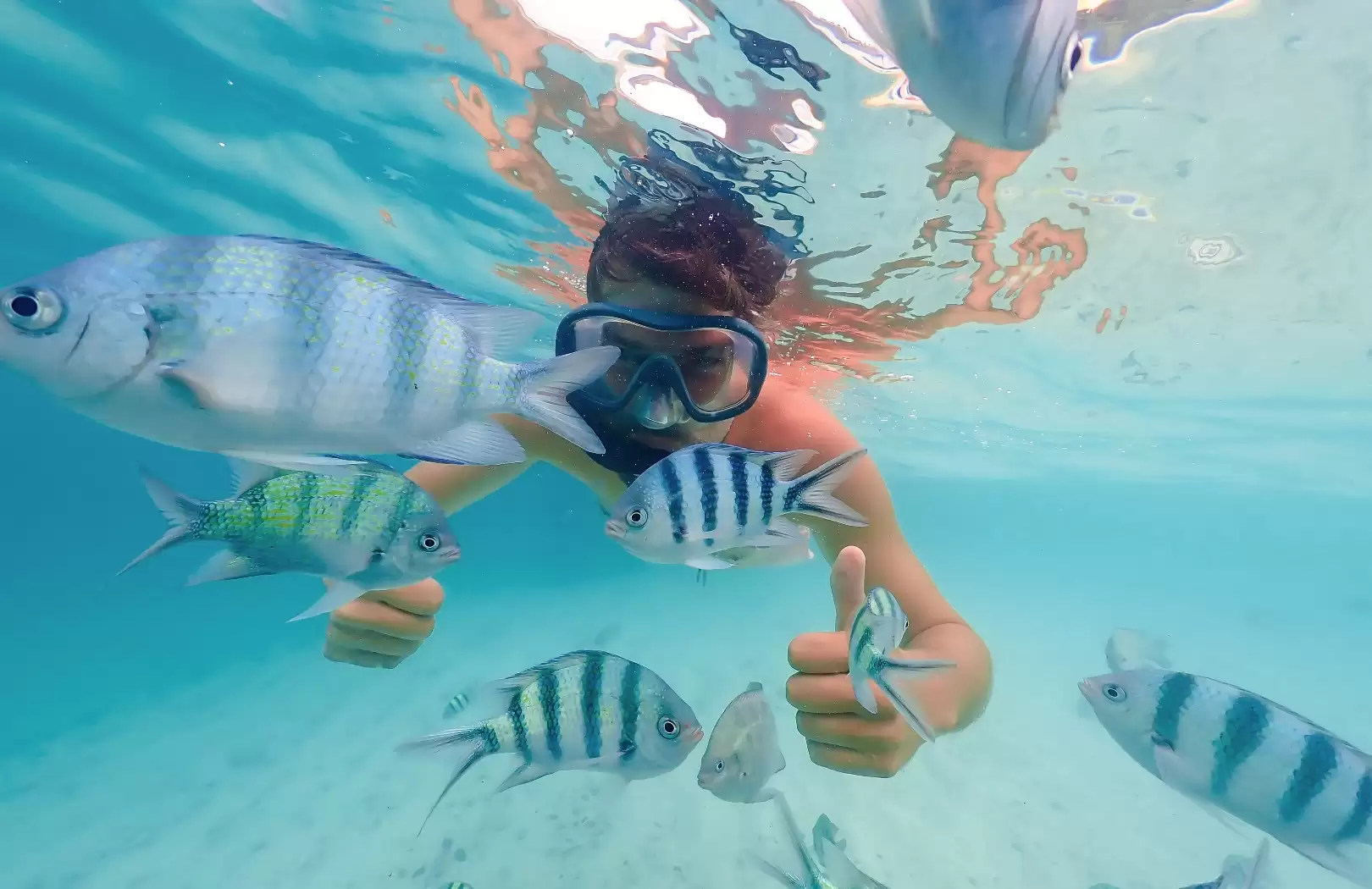 Bali White Water Rafting with No Stairs & Blue Lagoon Snorkeling Tour