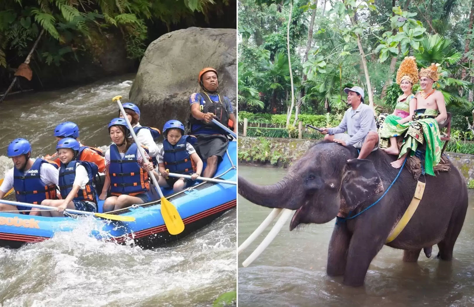 Bali White Water Rafting with No Stairs & Elephant Ride Tour