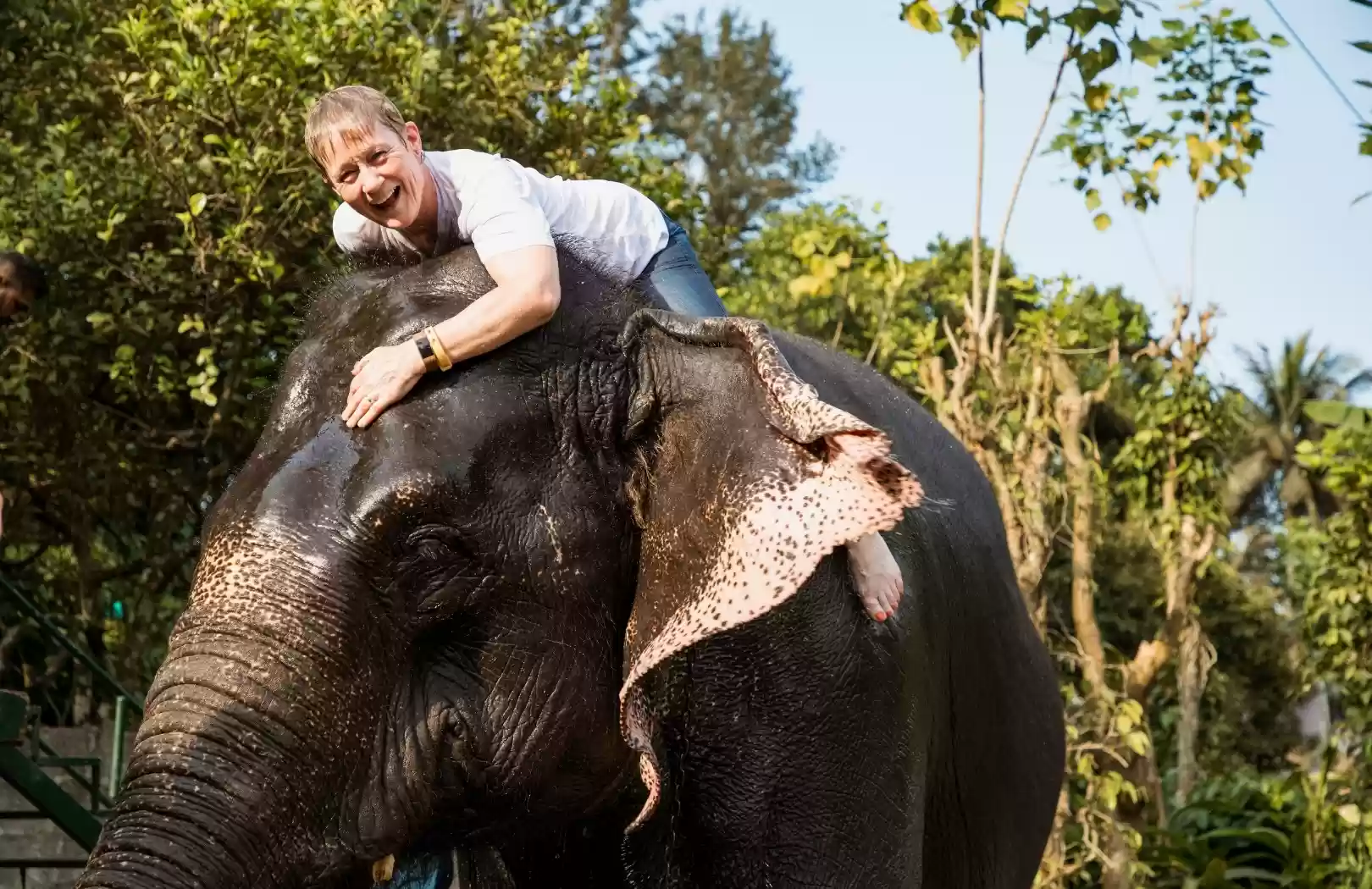 Bali White Water Rafting with No Stairs & Elephant Ride Tour