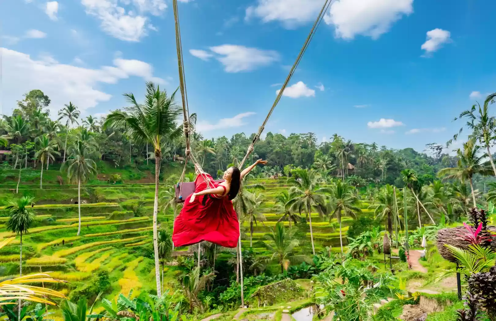 Ubud Jungle Swing and Ayung River White Water Rafting Tour