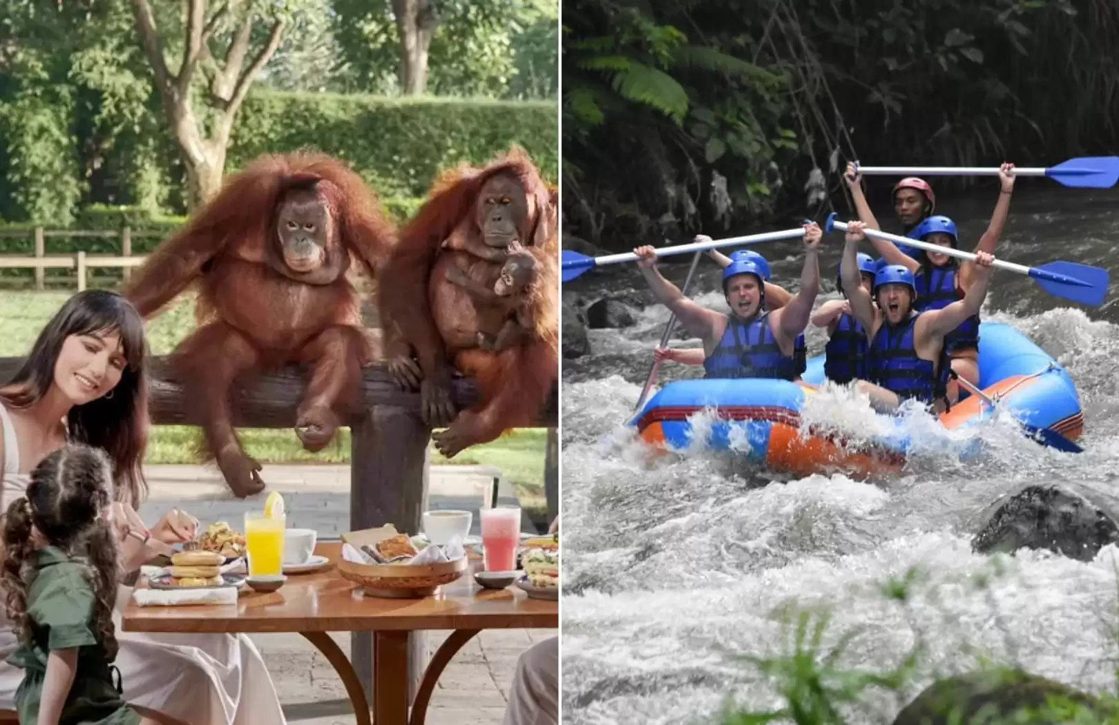 Breakfast with Orangutans and Ayung River White Water Rafting in Ubud