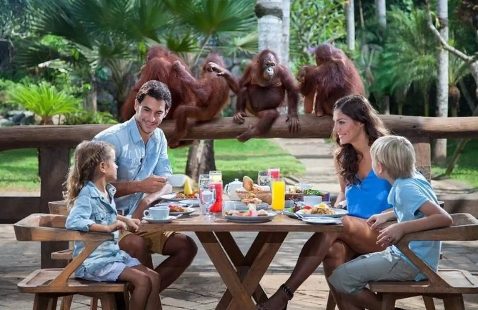 Breakfast with Orangutans and Ayung River White Water Rafting in Ubud